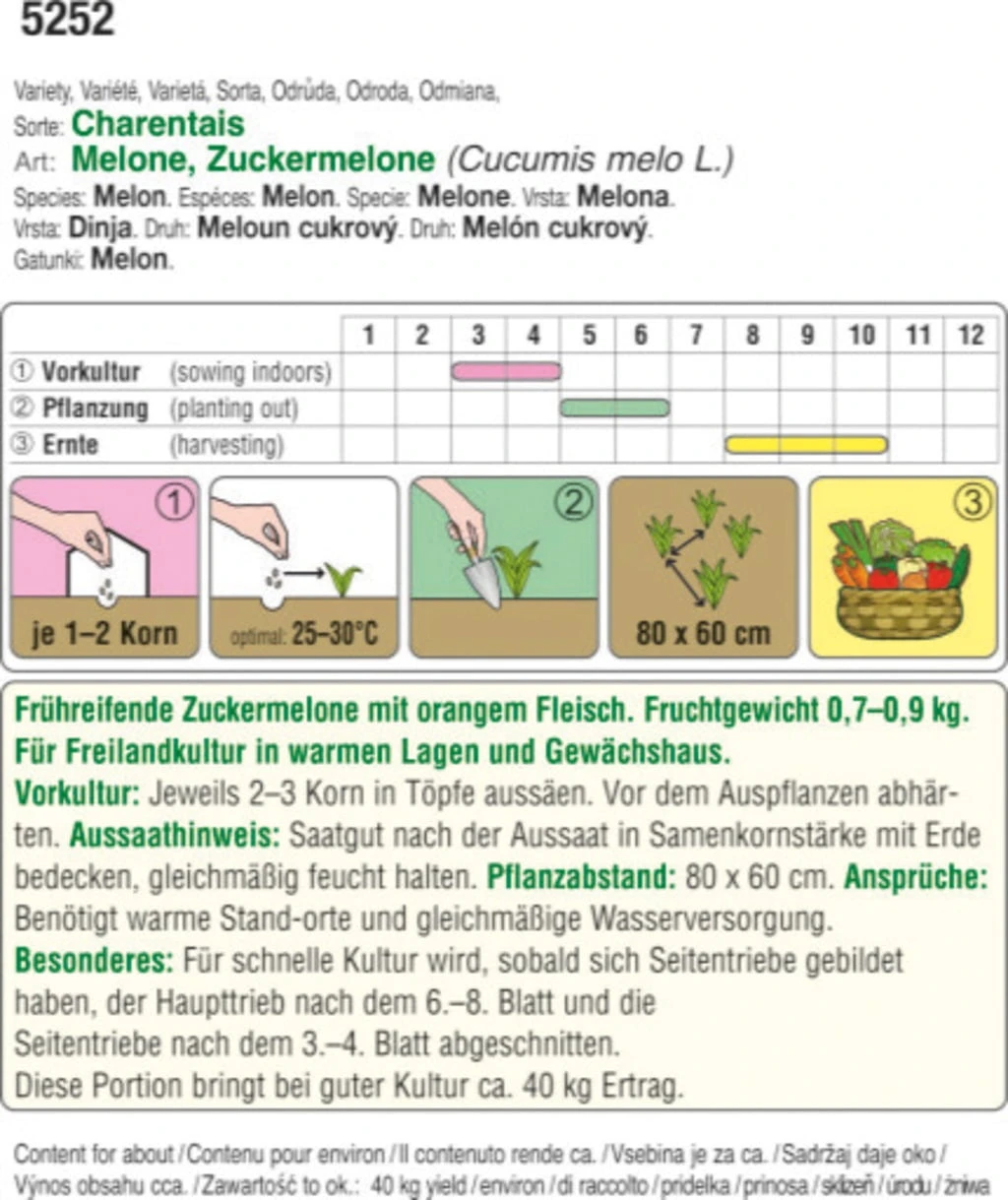 Bio Zuckermelonen Charentais 3 Bio Zuckermelonen Charentais