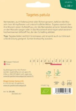 Tagetes Zur Nematodenbekämpfung