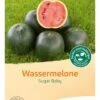 Wassermelone "Sugar Baby" -Windcom Geschaft bingenheimer saatgut wassermelone sugar baby 1612472 de