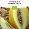Bio Honigmelone „Cosenza Giallo“ -Windcom Geschaft bionana bio honigmelone cosenza giallo 1 pkg 934146 de