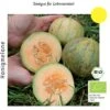 Bio Honigmelone Amelia -Windcom Geschaft culinaris bio honigmelone amelia 1 paket 1683599 de