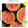 Bio Wassermelone Blacktail Mountain 2 Bio Wassermelone Blacktail Mountain -Windcom Geschaft culinaris bio wassermelone blacktail mountain 1 paket 1683593 de