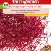 BIO-Keimsprossen Rote Rüben 1 BIO-Keimsprossen Rote Rüben -Windcom Geschaft duerr samen bio keimsprossen rote rueben 1 paket 1675558 de