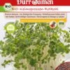 BIO-Keimsprossen Rotkohl -Windcom Geschaft duerr samen bio keimsprossen rotkohl 1 paket 1675562 de