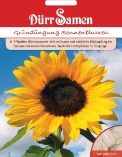 Gründüngung Sonnenblumen , 50 G