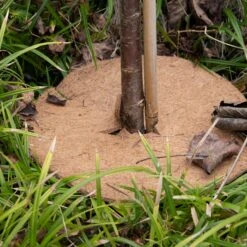 ESSCHERT DESIGN Pflanzschutzmatte Aus Kokos, M -Windcom Geschaft esschert design pflanzschutzmatte aus kokos 1621032 de