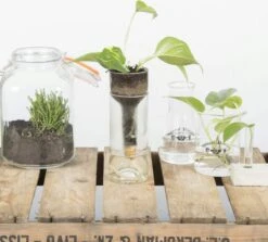 ESSCHERT DESIGN Selbstbewässernder Flaschentopf -Windcom Geschaft esschert design selbstbewaessernder flaschentopf 1 stk 1211743 de