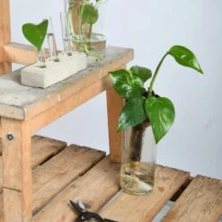 ESSCHERT DESIGN Selbstbewässernder Flaschentopf