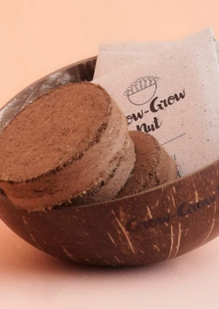 Kokoserdeziegel Set, 10 Stück - Set