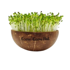Microgreens Nachfüllpaket "Asian Festival" 12 Microgreens Nachfüllpaket "Asian Festival" -Windcom Geschaft grow grow nut microgreens nachfuellpaket asian festival 1 set 1012915 de