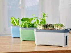 Harry Herbs Kräutertopf - Mit Haube, Weiß 15 Harry Herbs Kräutertopf - Mit Haube, Weiß -Windcom Geschaft gusta garden harry herbs kraeutertopf mit haube 1409486 de