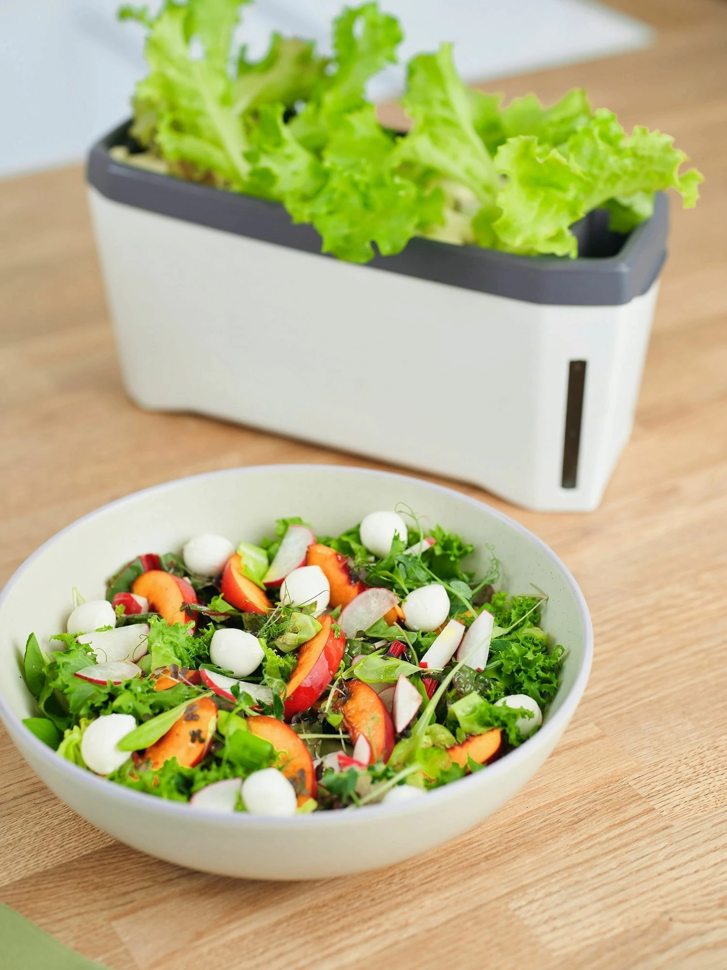 Harry Herbs Kräutertopf - Mit Haube, Weiß 4 Harry Herbs Kräutertopf - Mit Haube, Weiß – Bild 2