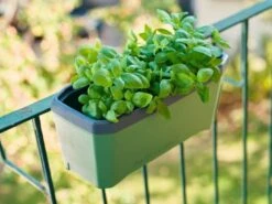 Windcom Geschaft 19 Harry Herbs Kräutertopf - Ohne Haube, Dunkelgrün