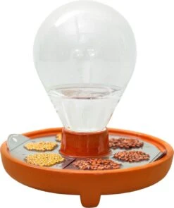 "Patella Crescenda" - Natürliches Keimset -Windcom Geschaft house of thol patella crescenda natuerliches keimset 1664660 de