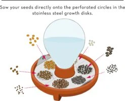 "Patella Crescenda" - Natürliches Keimset -Windcom Geschaft house of thol patella crescenda natuerliches keimset 1682825 de