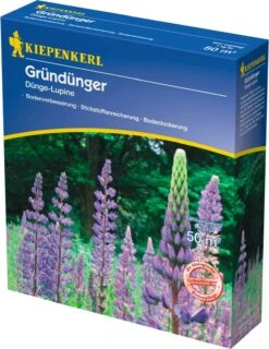 Dünge-Lupine, 1 Kg
