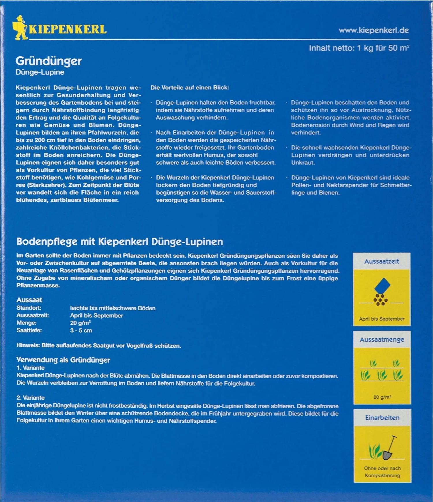 Dünge-Lupine, 1 Kg 4 Dünge-Lupine, 1 Kg – Bild 2