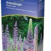 Dünge-Lupine 2 Kg, 2 Kg -Windcom Geschaft kiepenkerl duenge lupine 2 kg 1646786 de