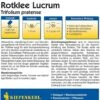 Rotklee 1 Rotklee -Windcom Geschaft kiepenkerl rotklee 1 paket 1661055 de