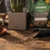 LECHUZA Substrat Cactus-PON, 6 Liter -Windcom Geschaft lechuza substrat cactus pon 6 liter 1616857 de