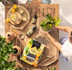 LECHUZA Substrat Citrus-PON, 12 Liter