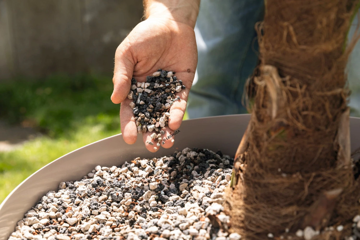 LECHUZA Substrat Palm-PON, 25 Liter 4 LECHUZA Substrat Palm-PON, 25 Liter – Bild 2