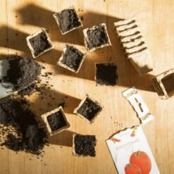 Abbaubare Anzuchttöpfe Eckig, 120 Stück -Windcom Geschaft own grown abbaubare anzuchttoepfe eckig 120 st 1679318 de