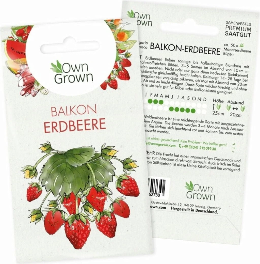 Saatgut "Balkonerdbeere" 3 Saatgut "Balkonerdbeere"