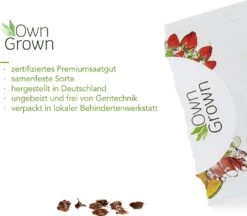 Saatgut "Rhabarber" -Windcom Geschaft own grown saatgut rhabarber 1525849 de