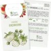 Saatgut "Weiße Erdbeere" -Windcom Geschaft own grown saatgut weisse erdbeere 1525933 de