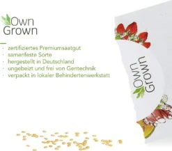 Saatgut "Weiße Erdbeere" -Windcom Geschaft own grown saatgut weisse erdbeere 1525957 de