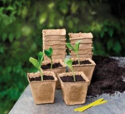 Windcom Geschaft 31 22 Anzuchttöpfe 6 Cm Quadratisch, 22 Stück