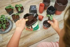 22 Kunststofftöpfe 5 Cm Rund - Terracotta -Windcom Geschaft romberg 22 kunststofftoepfe 55 cm rund terracotta 1 st 906000 de