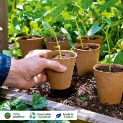 26 Anzuchttöpfe 6 Cm Rund -Windcom Geschaft romberg 26 anzuchttoepfe 6 cm rund 1501581 de