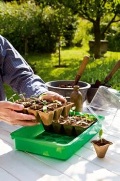 36 Anzuchttöpfe 5 Cm - 6 Strips à 6 Töpfe -Windcom Geschaft romberg 36 anzuchttoepfe 5 cm 6 strips a 6 toepfe 1 paket 1668656 de