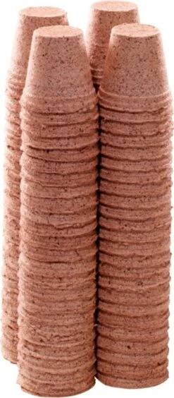 96 Anzuchttöpfe 6 Cm Rund -Windcom Geschaft romberg 96 anzuchttoepfe 6 cm rund 1 paket 1668653 de