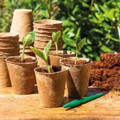 96 Anzuchttöpfe 6 Cm Rund -Windcom Geschaft romberg 96 anzuchttoepfe 6 cm rund 1501554 de