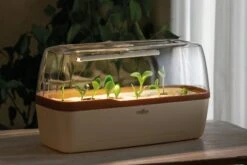 Gewächshaus & Pflanzkasten BoQube L PLUS LED - Creme-Kupferbraun 8 Gewächshaus & Pflanzkasten BoQube L PLUS LED - Creme-Kupferbraun -Windcom Geschaft romberg boqube l plus led creme kupferbraun 1 stk 819778 de