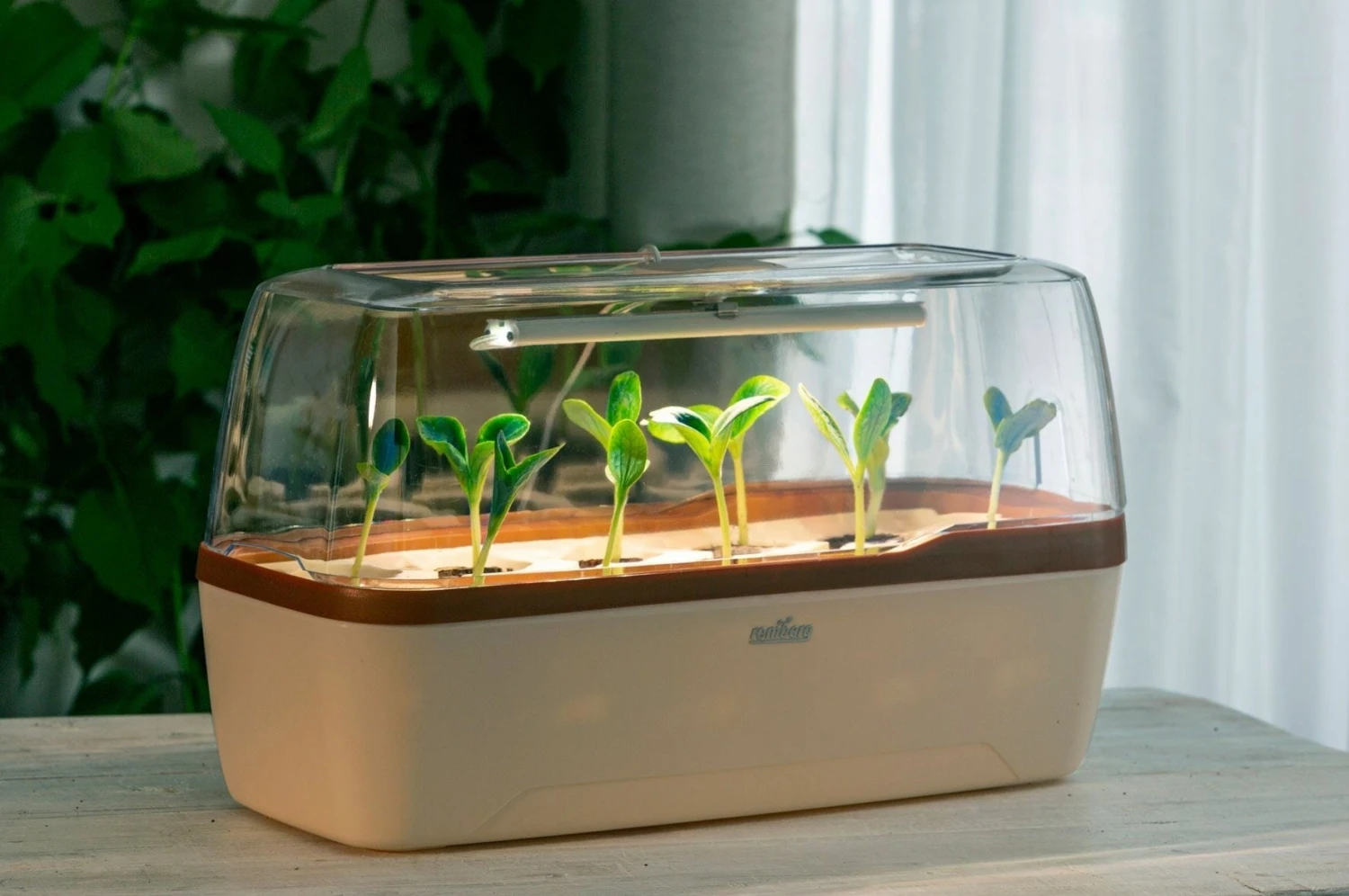 Gewächshaus & Pflanzkasten BoQube L PLUS LED - Creme-Kupferbraun 3 Gewächshaus & Pflanzkasten BoQube L PLUS LED - Creme-Kupferbraun