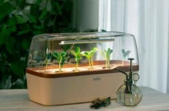 Gewächshaus & Pflanzkasten BoQube L PLUS LED - Creme-Kupferbraun 9 Gewächshaus & Pflanzkasten BoQube L PLUS LED - Creme-Kupferbraun -Windcom Geschaft romberg boqube l plus led creme kupferbraun 1 stk 819798 de