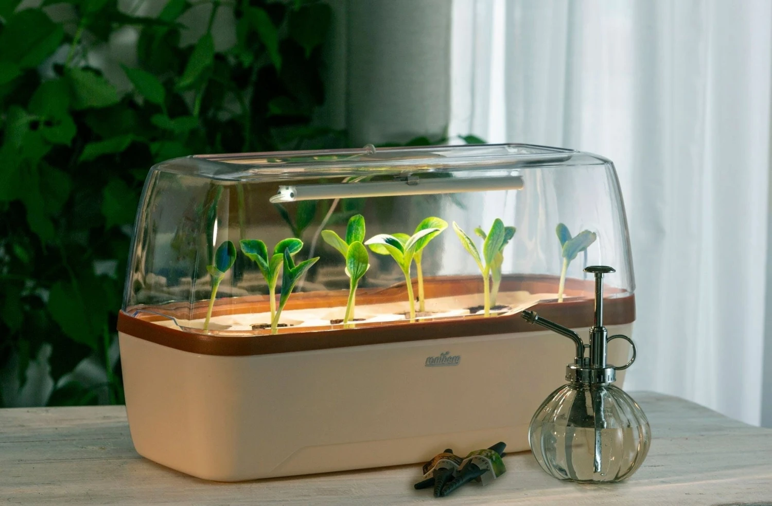 Gewächshaus & Pflanzkasten BoQube L PLUS LED - Creme-Kupferbraun 6 Gewächshaus & Pflanzkasten BoQube L PLUS LED - Creme-Kupferbraun – Bild 4