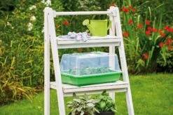 Classic Gewächshaus M -Windcom Geschaft romberg classic gewaechshaus m 1 st 908870 de