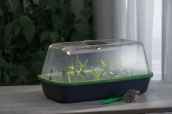 Gewächshaus & Pflanzkasten BoQube M PLUS LED & Heizmatte - Anthrazit-Sommergrün -Windcom Geschaft romberg gewaechshaus pflanzkasten boqube m plus led heizmatte anthrazit sommergruen 1 st 1676056 de