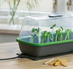 Gewächshaus & Pflanzkasten BoQube M PLUS LED & Heizmatte - Anthrazit-Sommergrün -Windcom Geschaft romberg gewaechshaus pflanzkasten boqube m plus led heizmatte anthrazit sommergruen 1 stk 1046351 de