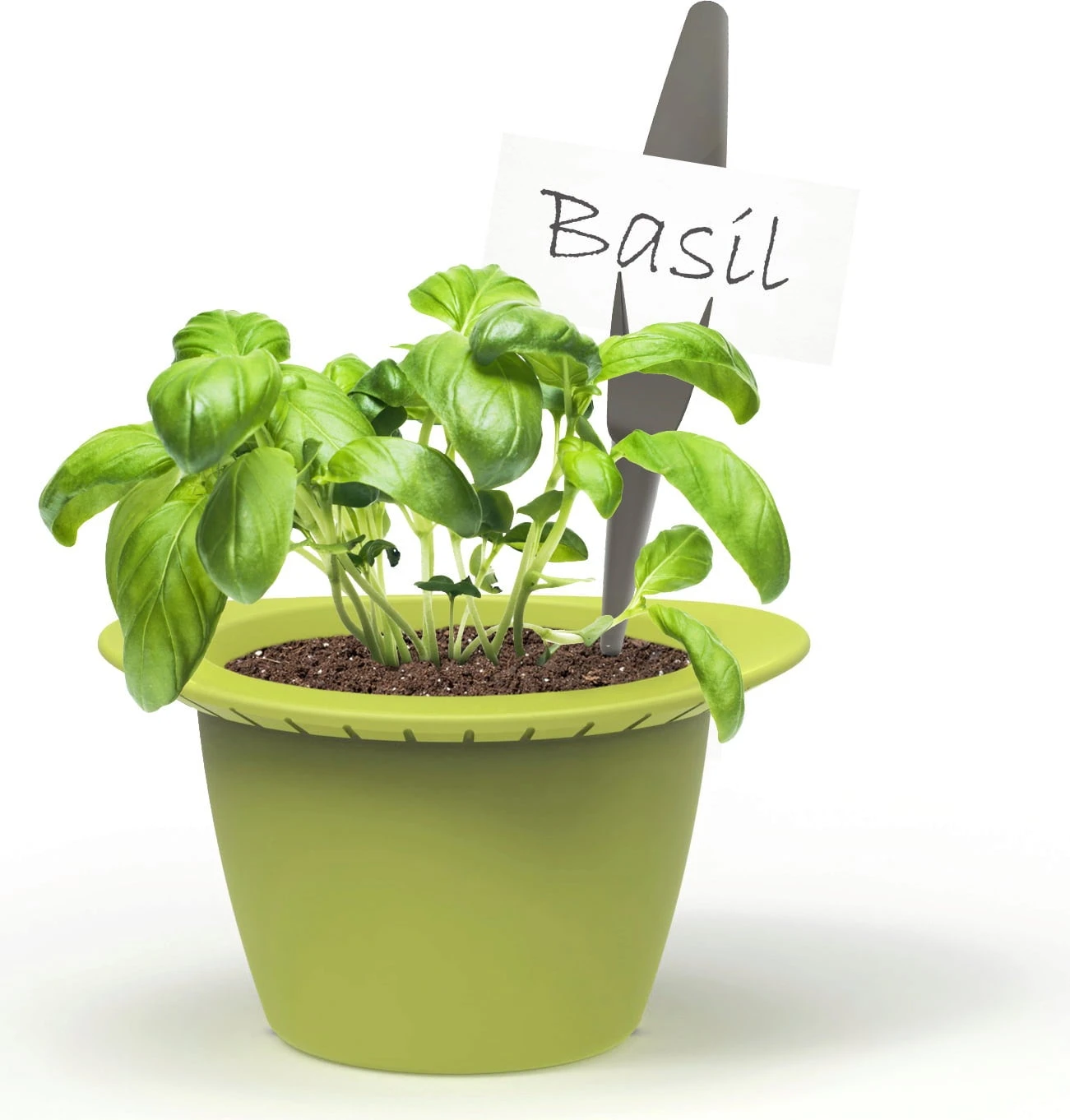 Mini – Anzuchttöpfe 4 Mini – Anzuchttöpfe – Bild 2