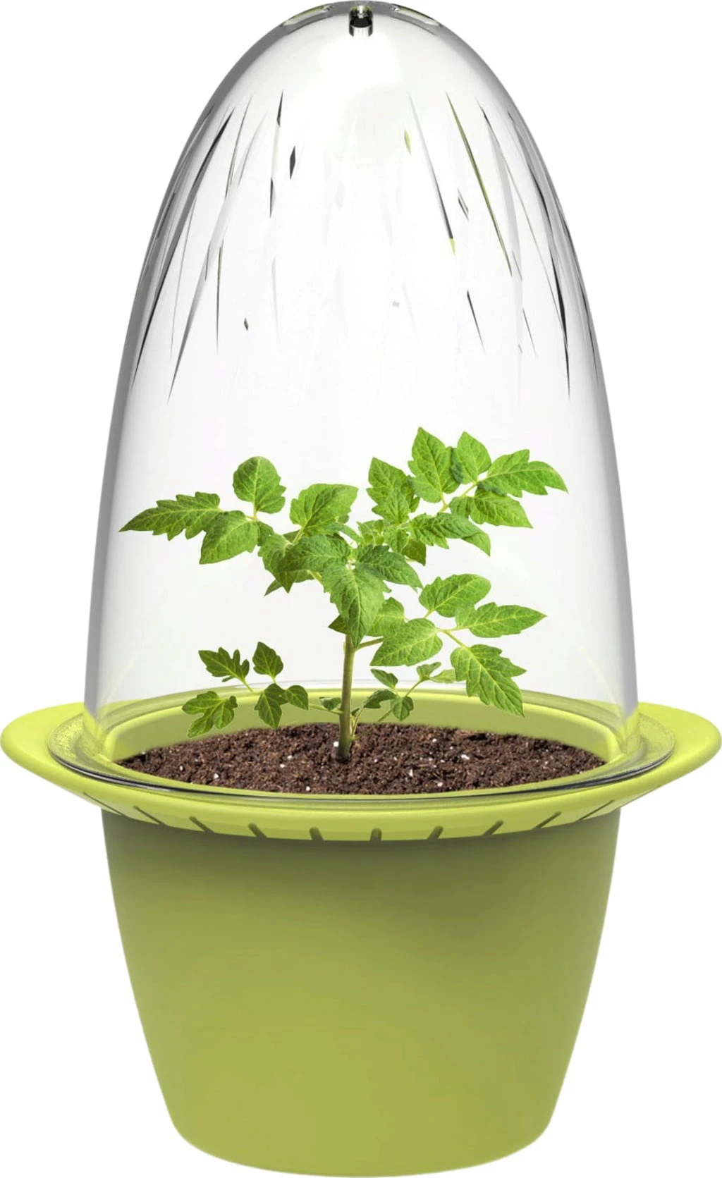 Mini – Anzuchttöpfe 3 Mini – Anzuchttöpfe