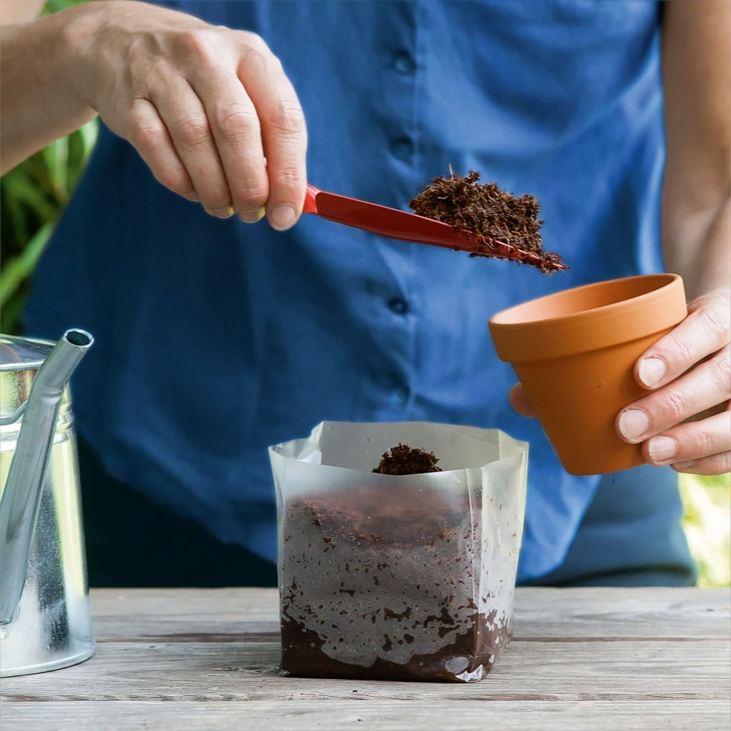 POP UP BOX Anzucht-Erde - 5 X 1 Liter 5 POP UP BOX Anzucht-Erde - 5 X 1 Liter – Bild 3