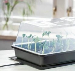 Power Gewächshaus "Thermo M" 8 Power Gewächshaus "Thermo M" -Windcom Geschaft romberg power gewaechshaus thermo m 1 st 907769 de