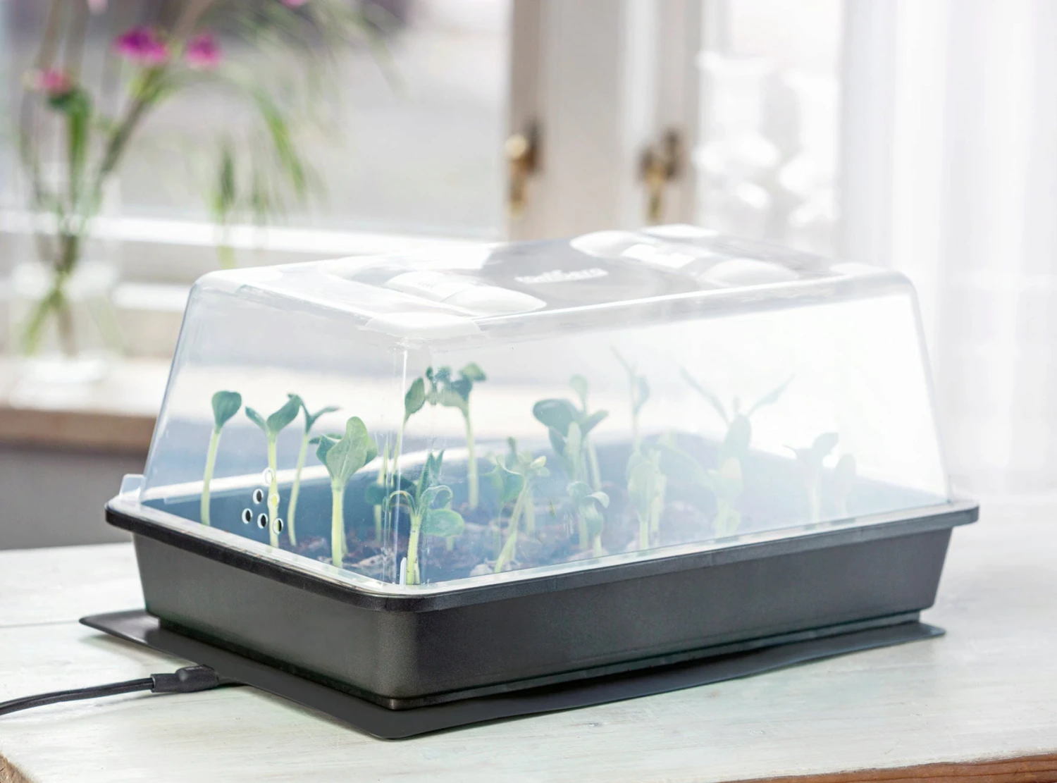 Power Gewächshaus "Thermo M" 6 Power Gewächshaus "Thermo M" – Bild 4