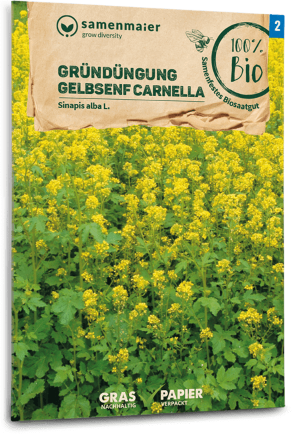 Bio Gelbsenf "Carnella" 4 Bio Gelbsenf "Carnella" – Bild 2